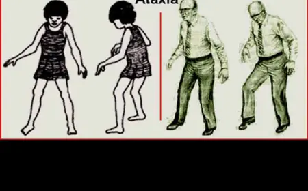 Kanatsız Kuş Hıkayeleri.(mp3) sesli..