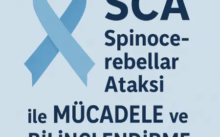 Sca hastaliğinin ilerleme süreçleri..