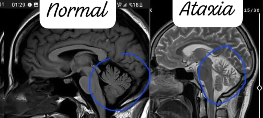 Yaşanılan Öyküler.