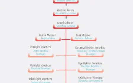 Sca Grup Yönetim...