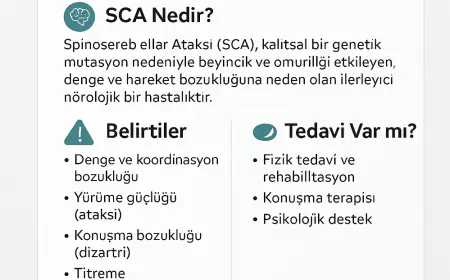 Sca Hakkinda..