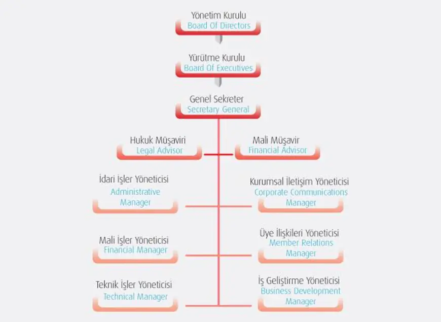 Sca Grup Yönetim...