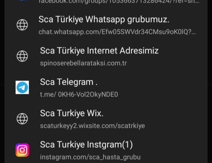 Bütün Sosyal Medya Adreslerimiz..