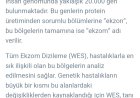 Wes testi veya Wgs farkı.