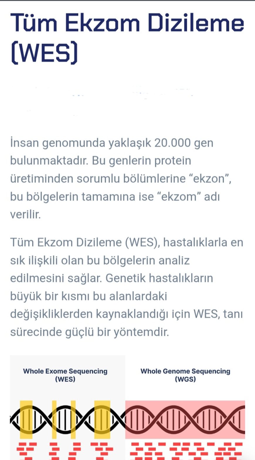Wes testi veya Wgs farkı.